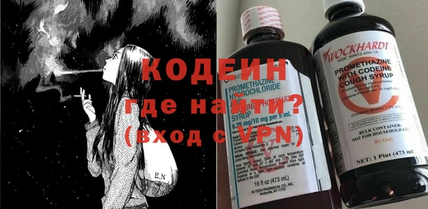 индика Ростов