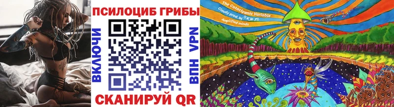 Галлюциногенные грибы Cubensis  дарнет шоп  Камешково 