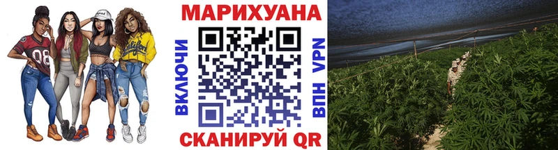 Бошки Шишки планчик Камешково